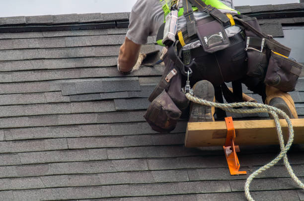 Roof Gutter Cleaning in Merlin, OR